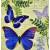 Serwetka decoupage firmy AMBIENTE motyle fioletowe 33x33cm